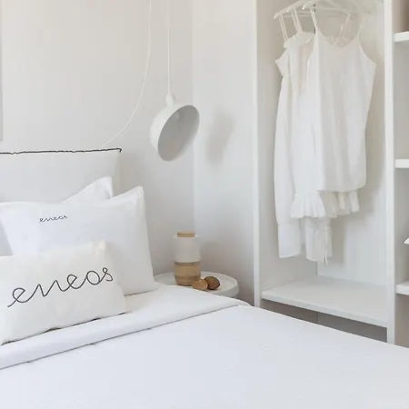 Eneos / Deluxe Villa *